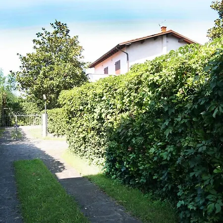 فيلة Cremona *